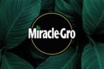 Miracle-Gro
